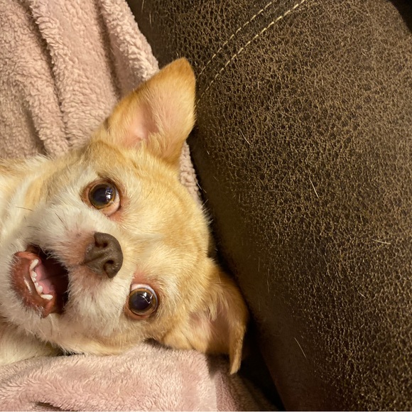 Closet Info- Please Read! - Picture 3 of 4